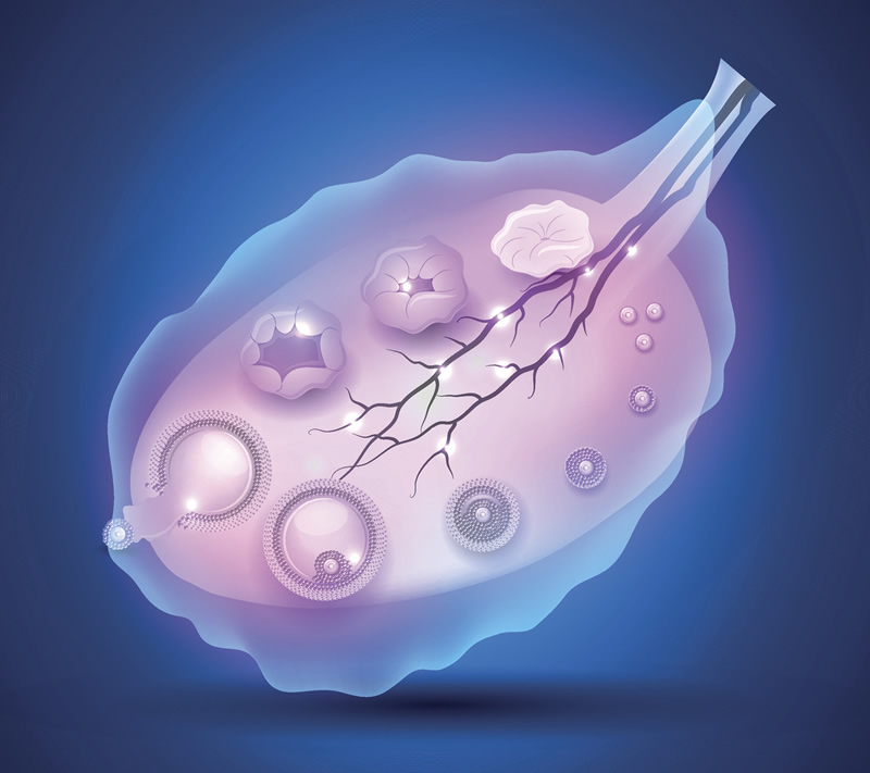 2026年北京适合39岁女性的试管婴儿医院前十推荐：北医三院、协和医院领衔，附核心医生与费用明细